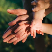 Créations généalogiques personnalisées pour transmettre votre histoire familiale