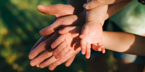 Créations généalogiques personnalisées pour transmettre votre histoire familiale